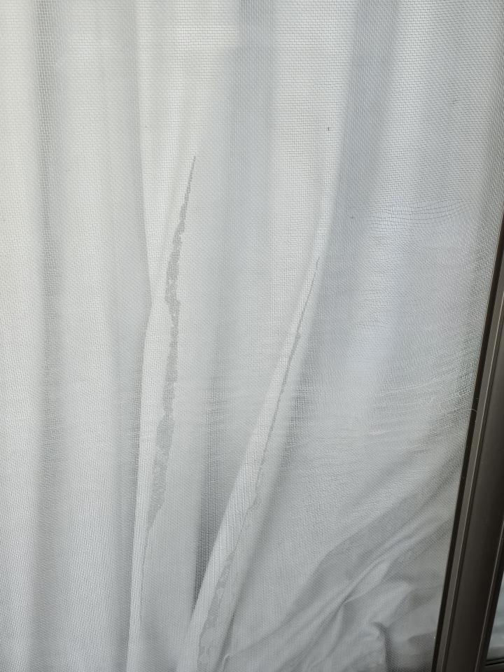 紗窗裝修案件圖片