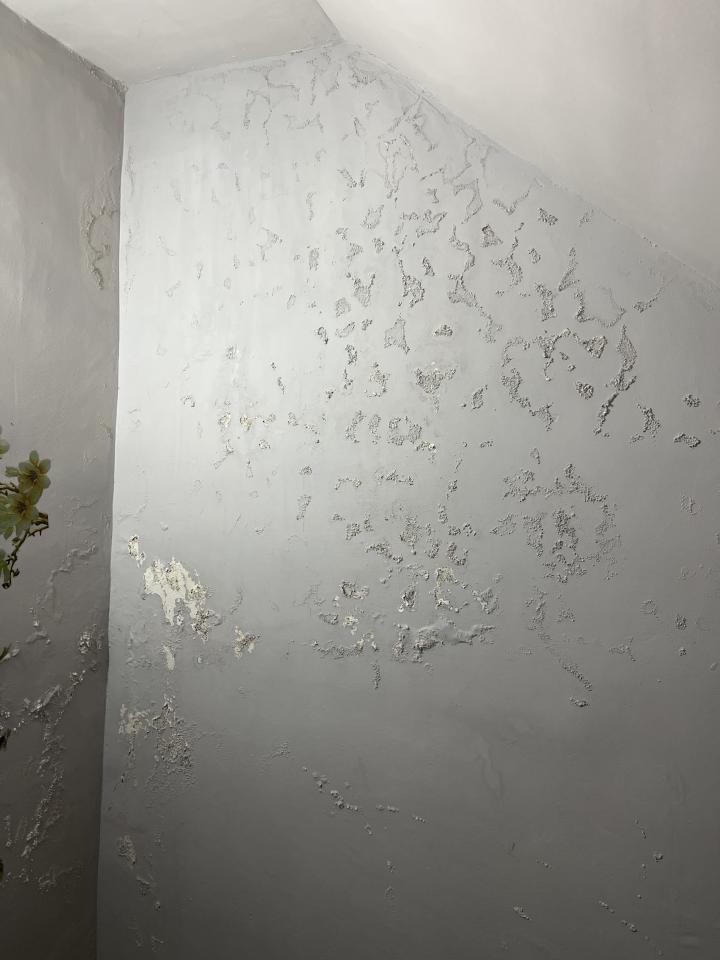 壁癌處理案件圖片