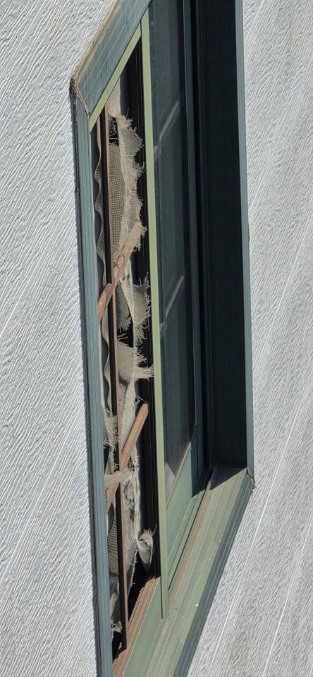 紗窗裝修案件圖片