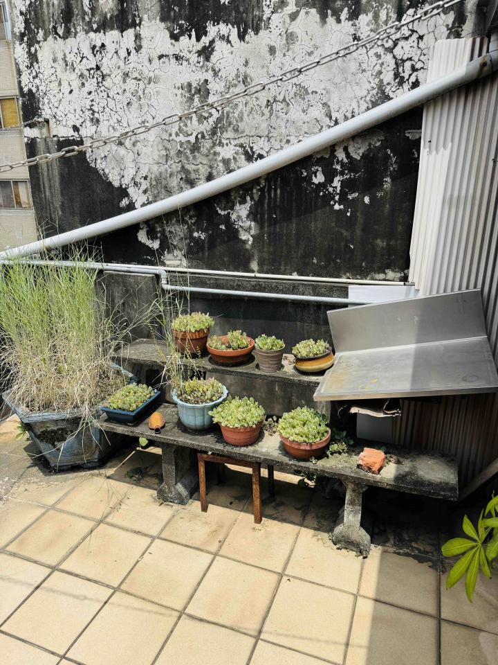 大型垃圾回收案件圖片