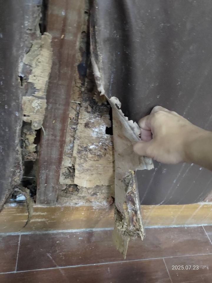 隔音工程案件圖片