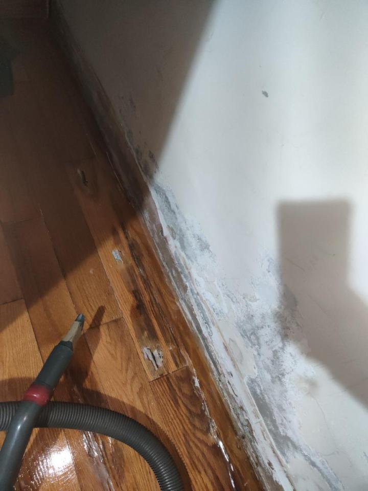 地板施工案件圖片