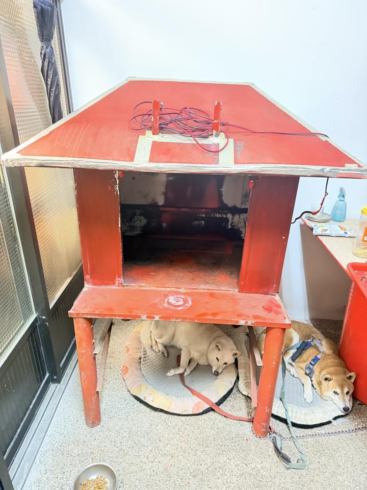 木工施工案件圖片