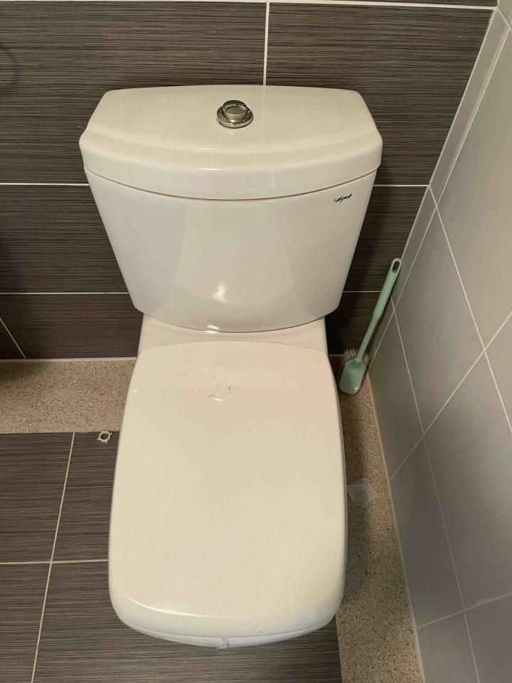 馬桶裝修案件圖片