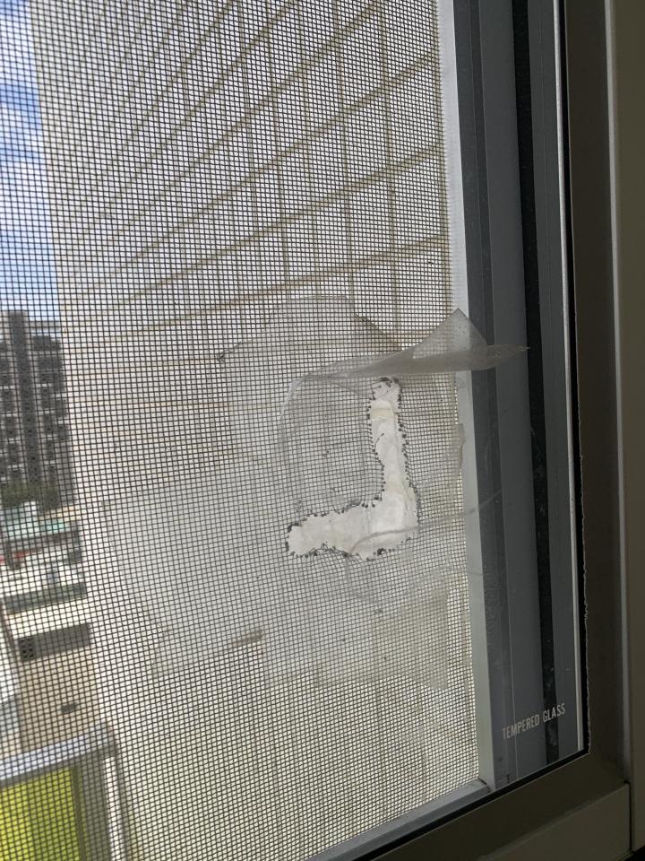 紗窗裝修案件圖片