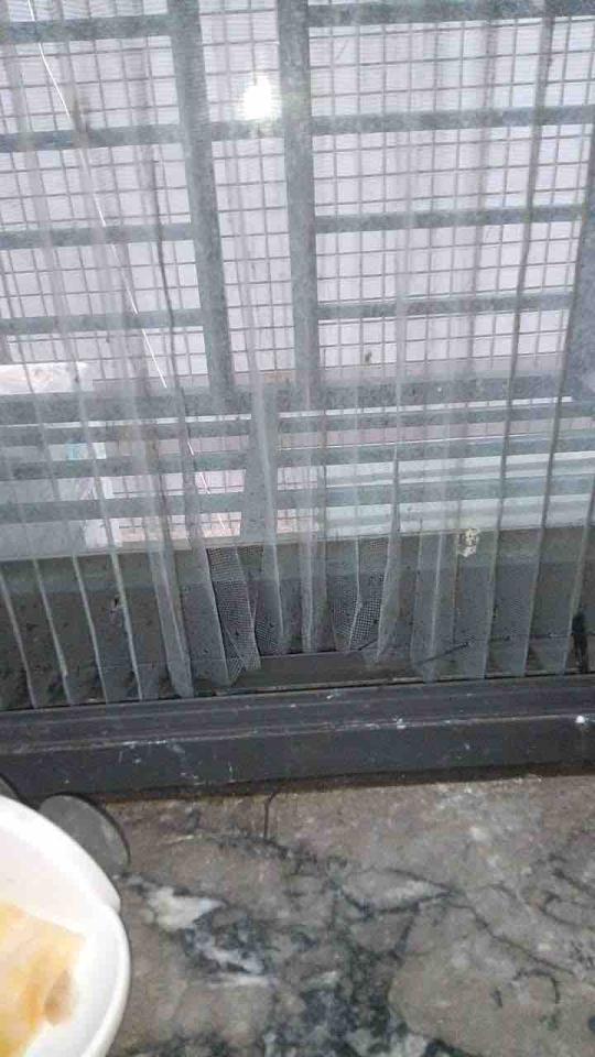 紗窗裝修案件圖片