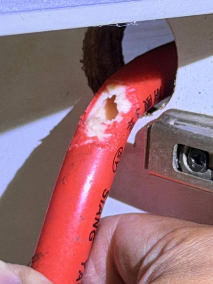 瓦斯管線更換案件圖片