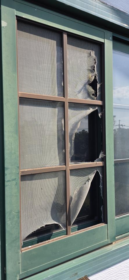 紗窗裝修案件圖片