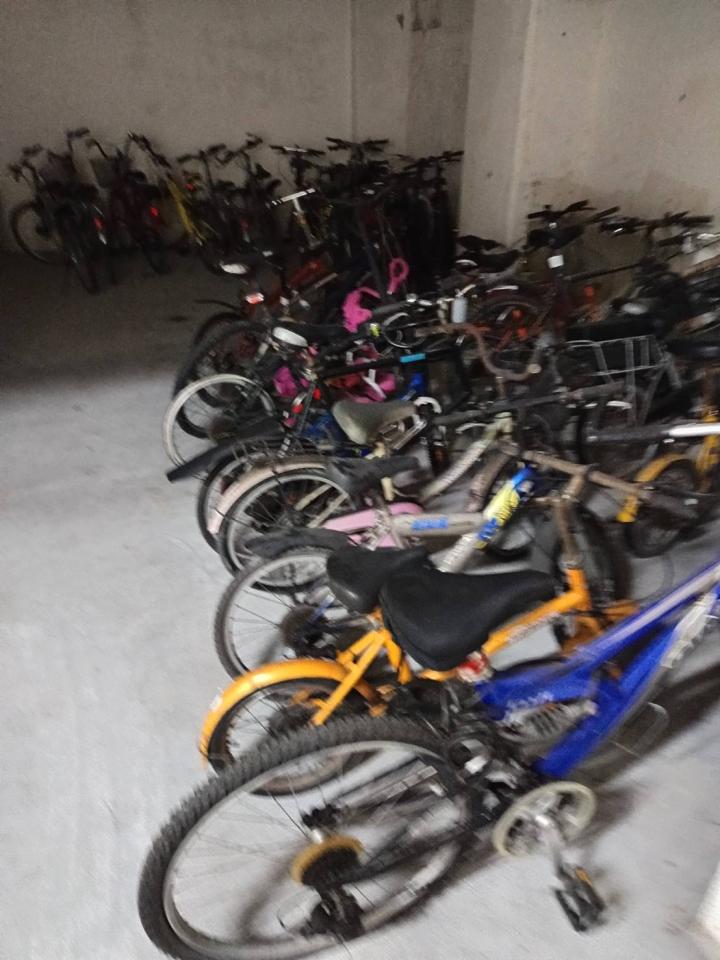 大型垃圾回收案件圖片