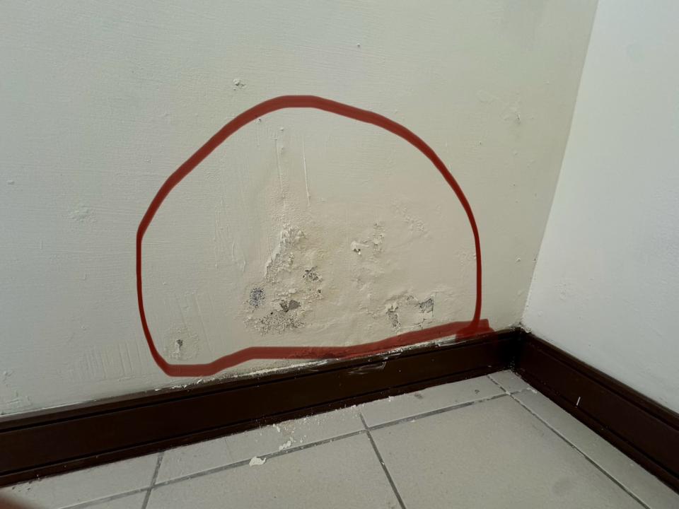 泥作/水泥施工案件圖片