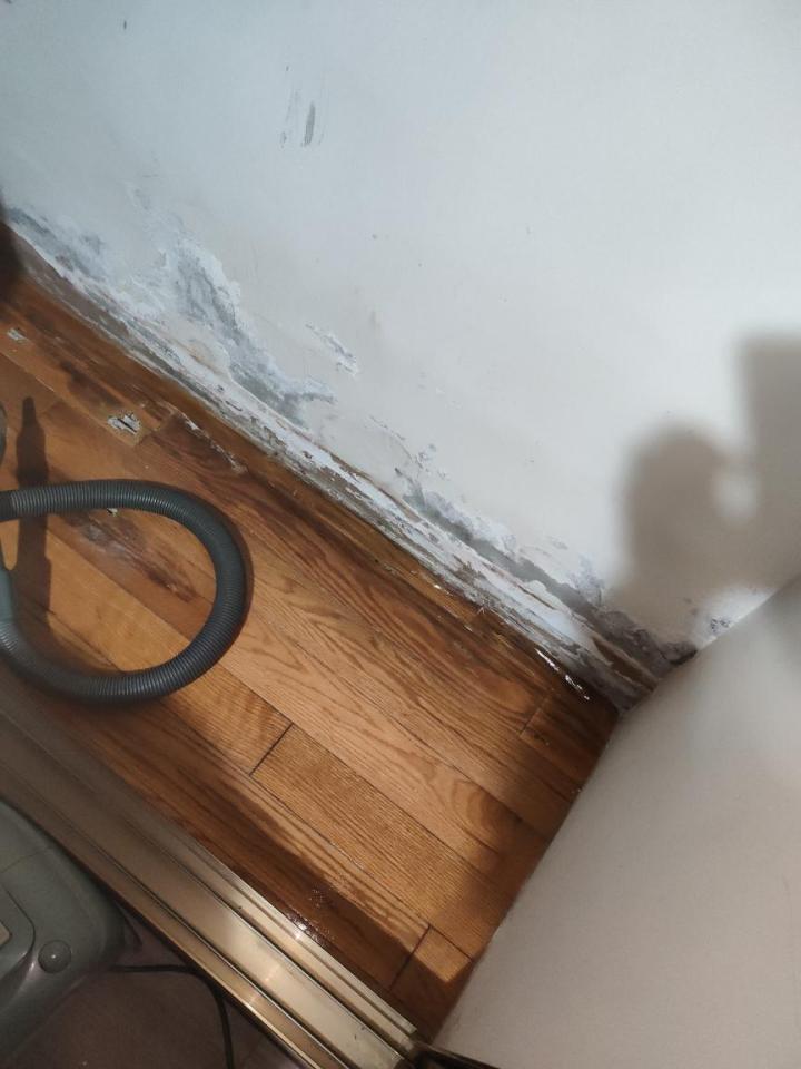 地板施工案件圖片