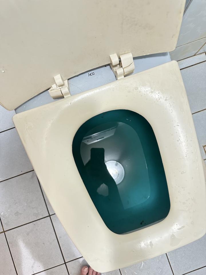 馬桶裝修案件圖片