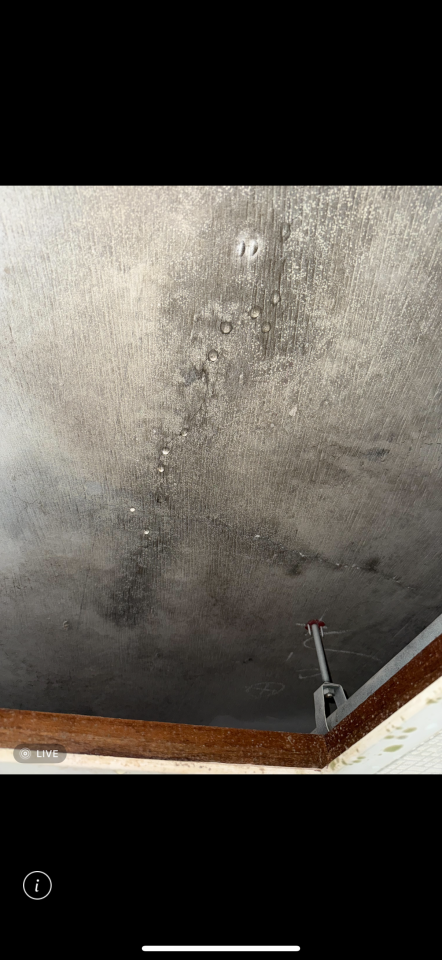 屋頂防水案件圖片