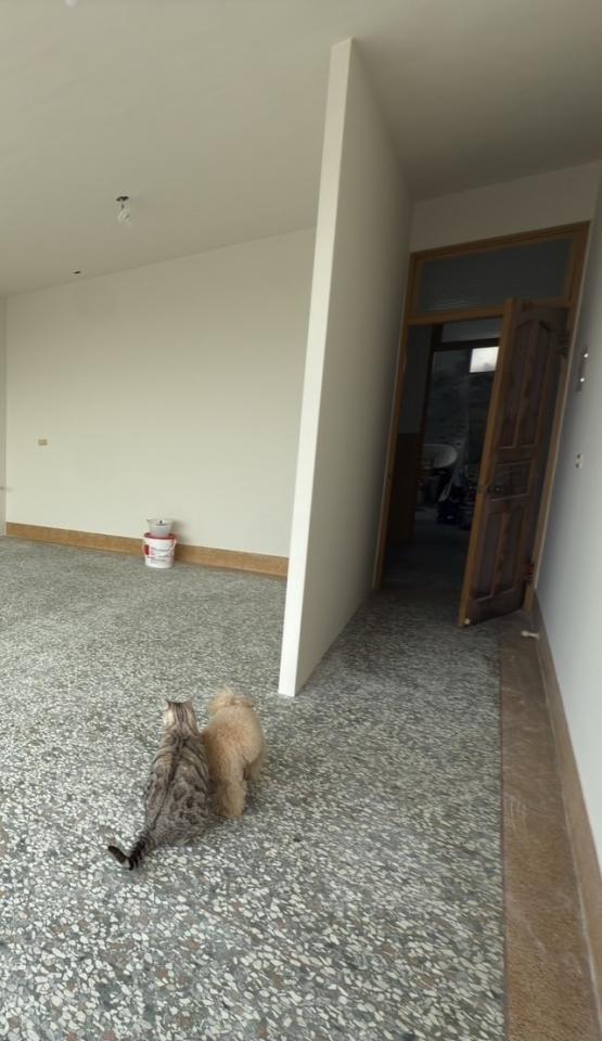 門片安裝案件圖片