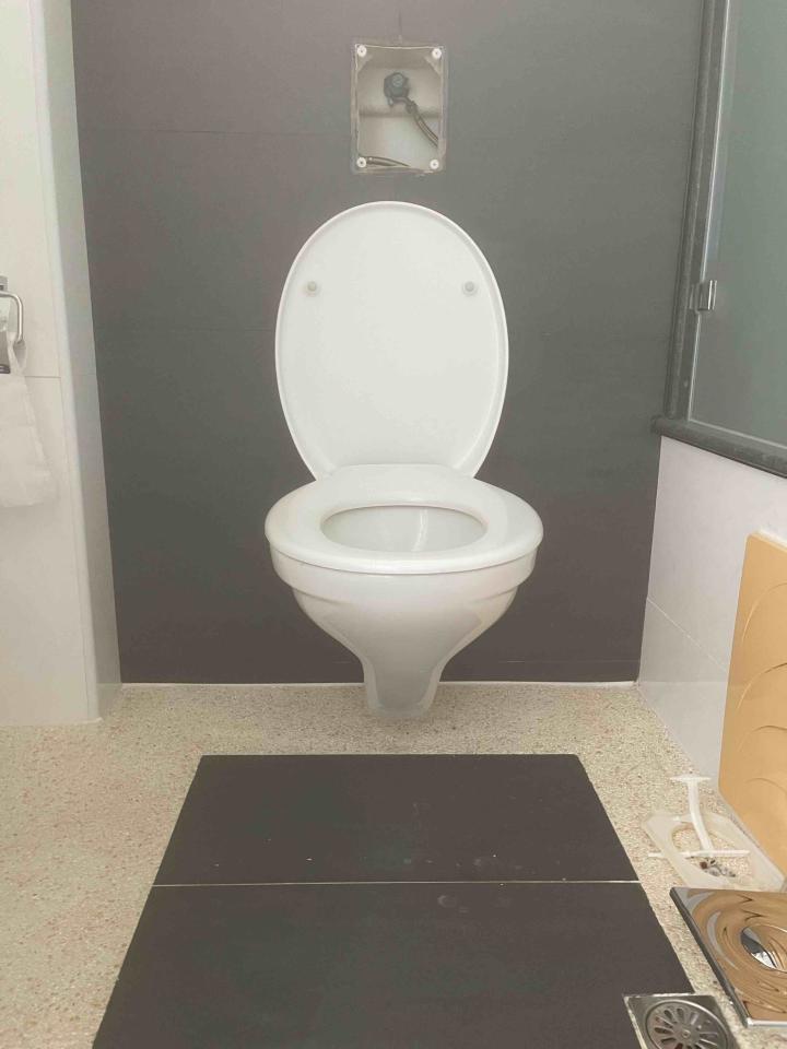 馬桶裝修案件圖片