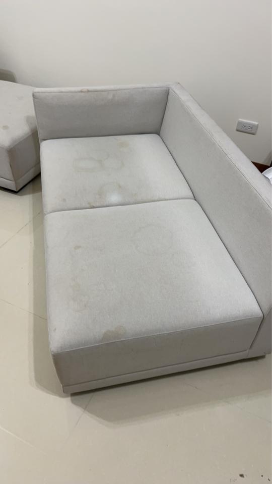 沙發清潔案件圖片