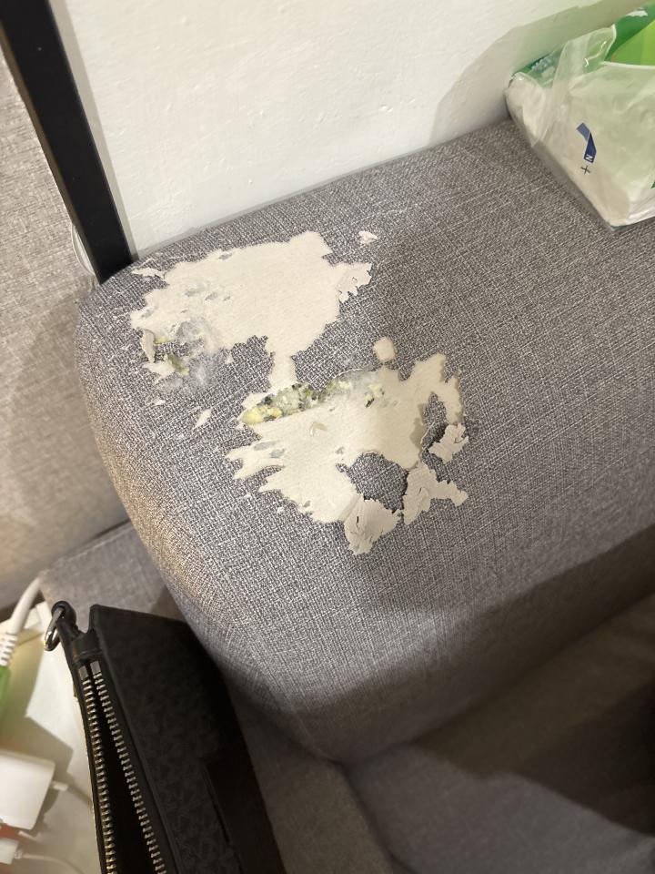 沙發修理案件圖片