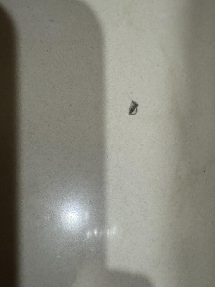 磁磚修補案件圖片