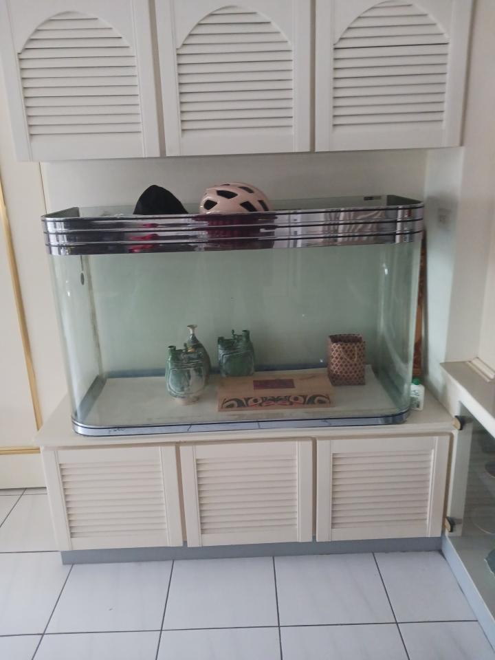 魚缸設計案件圖片