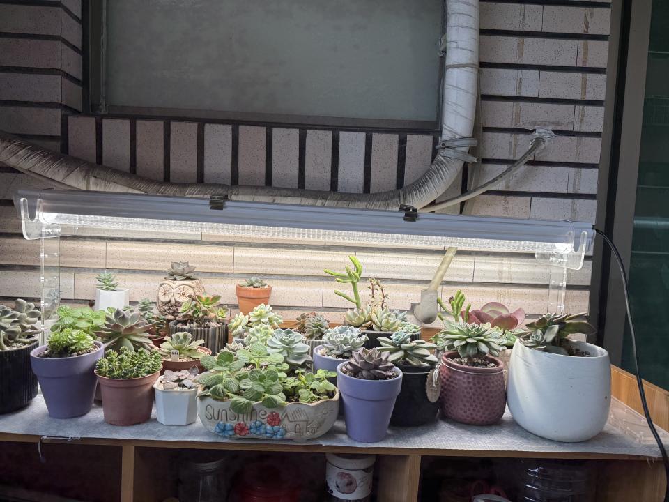 水電行案件圖片