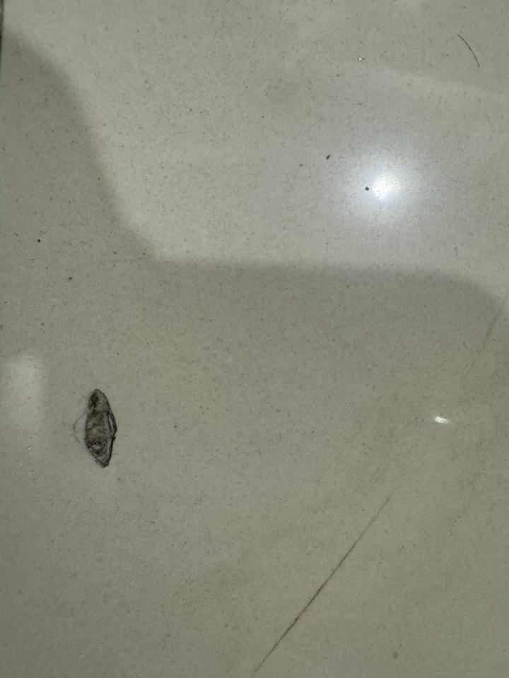 磁磚修補案件圖片