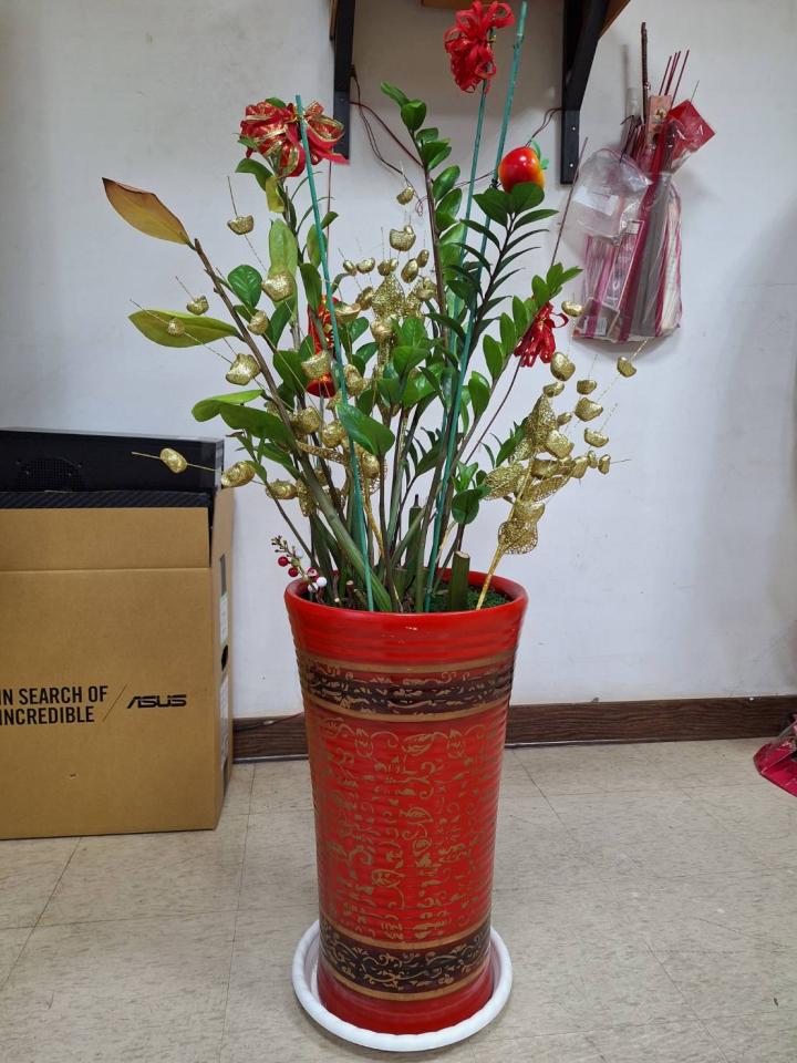 植物診療師案件圖片