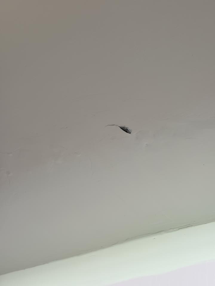 油漆工程案件圖片