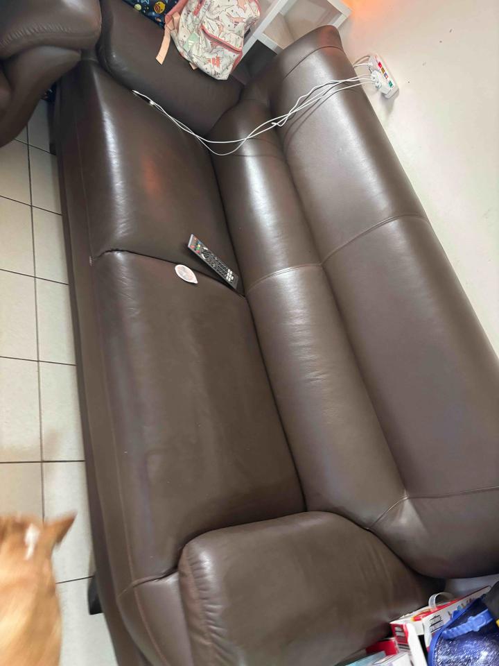 沙發清潔案件圖片