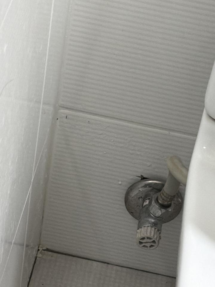 衛浴設備安裝案件圖片