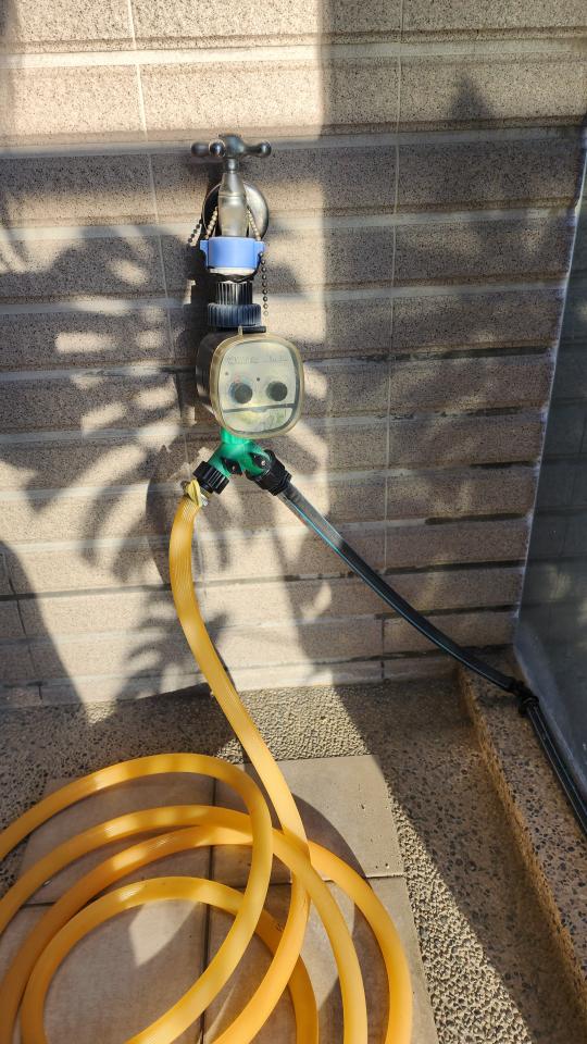 園藝維護案件圖片