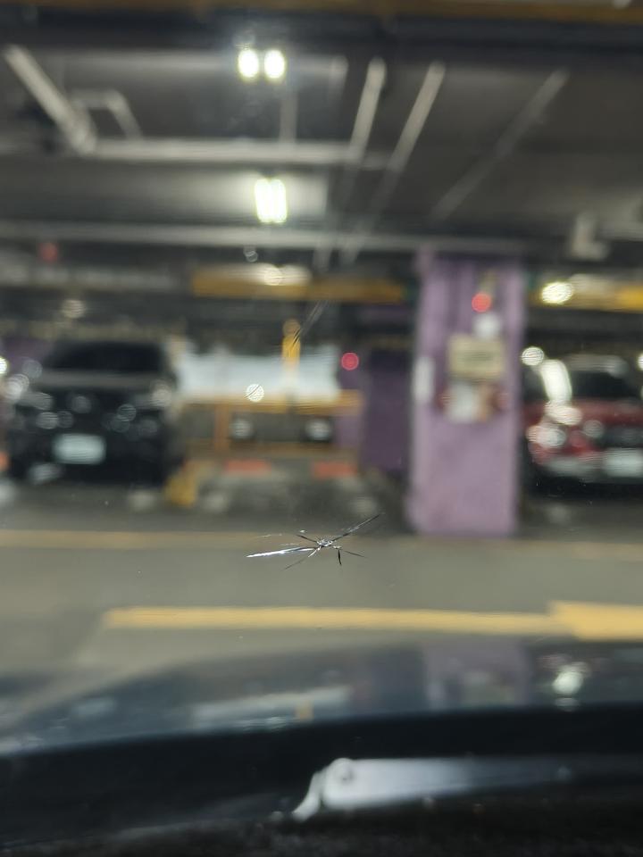 汽車玻璃修補案件圖片