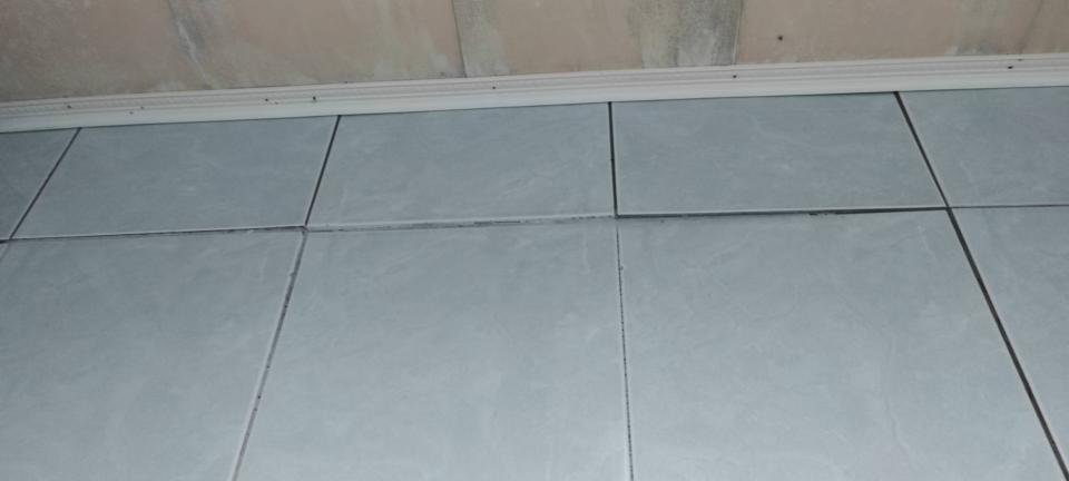 磁磚修補案件圖片