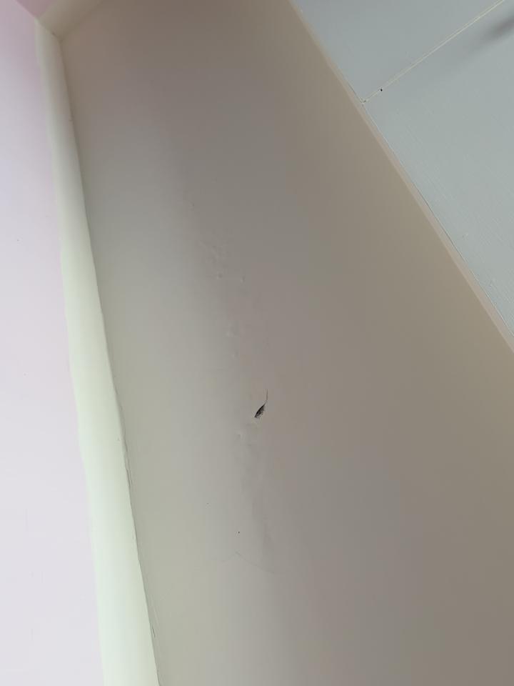 油漆工程案件圖片