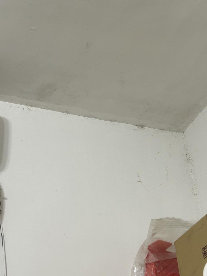 除霉案件圖片