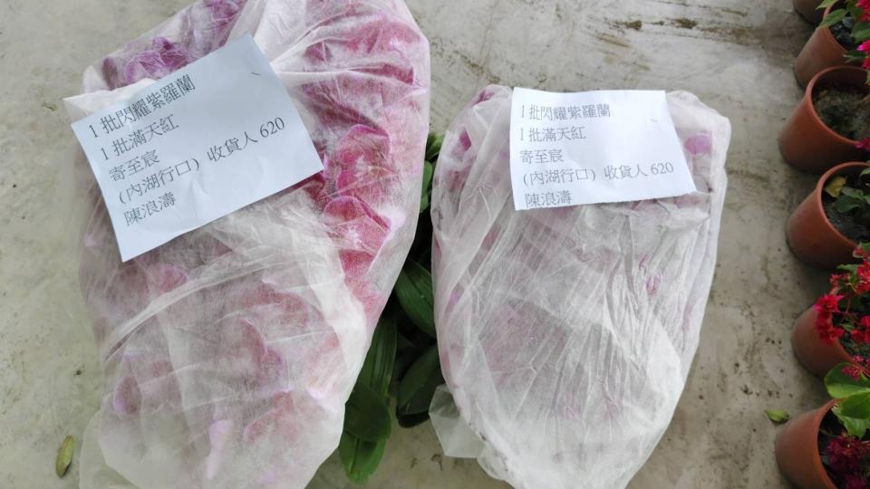 回頭車案件圖片