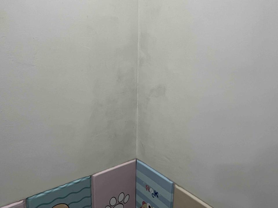 壁癌處理案件圖片