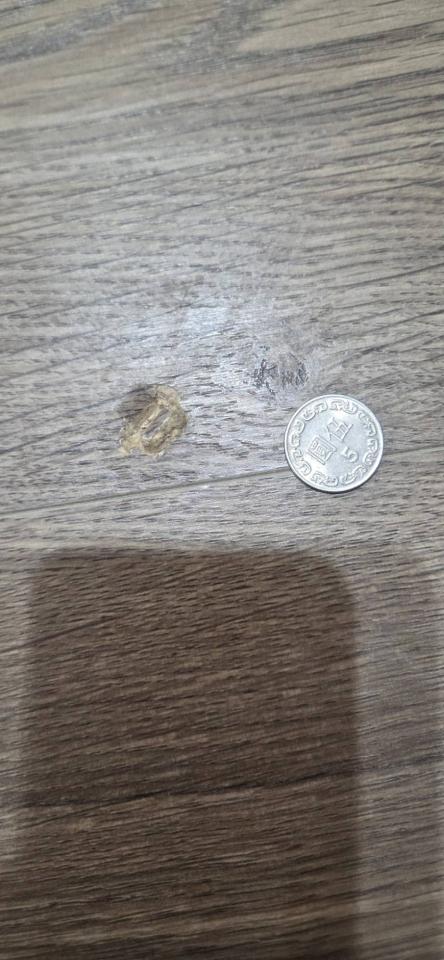 地板維修案件圖片