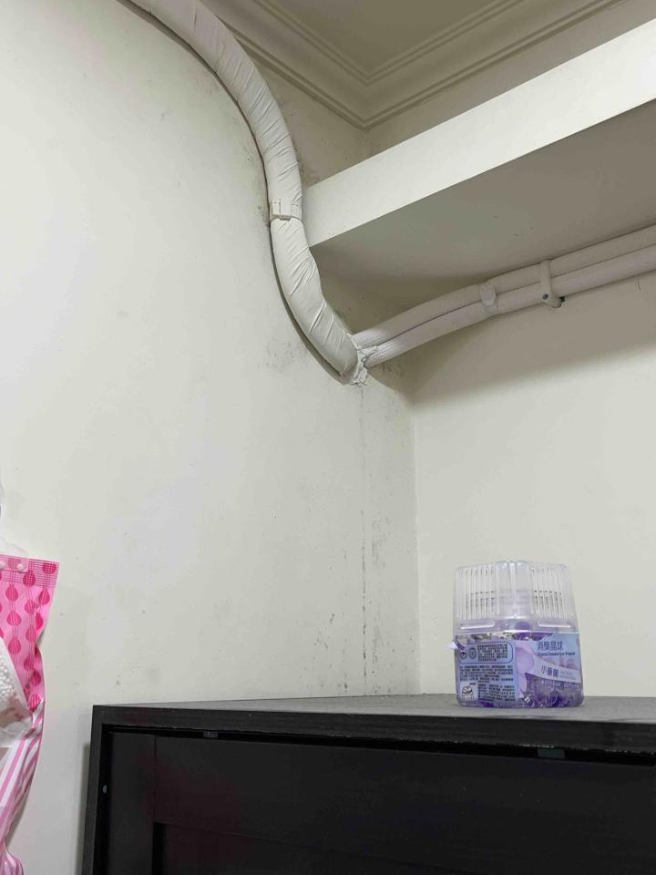 壁癌處理案件圖片