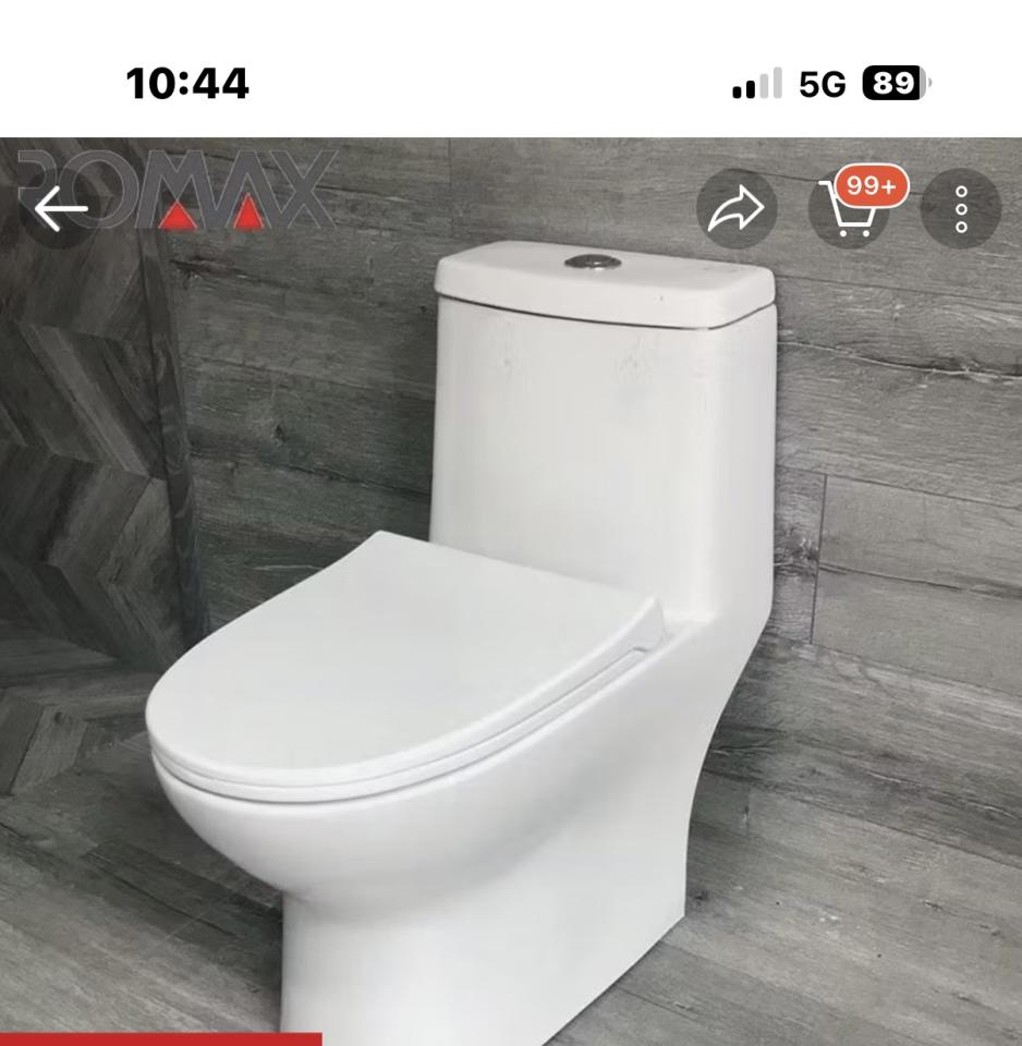 馬桶裝修案件圖片