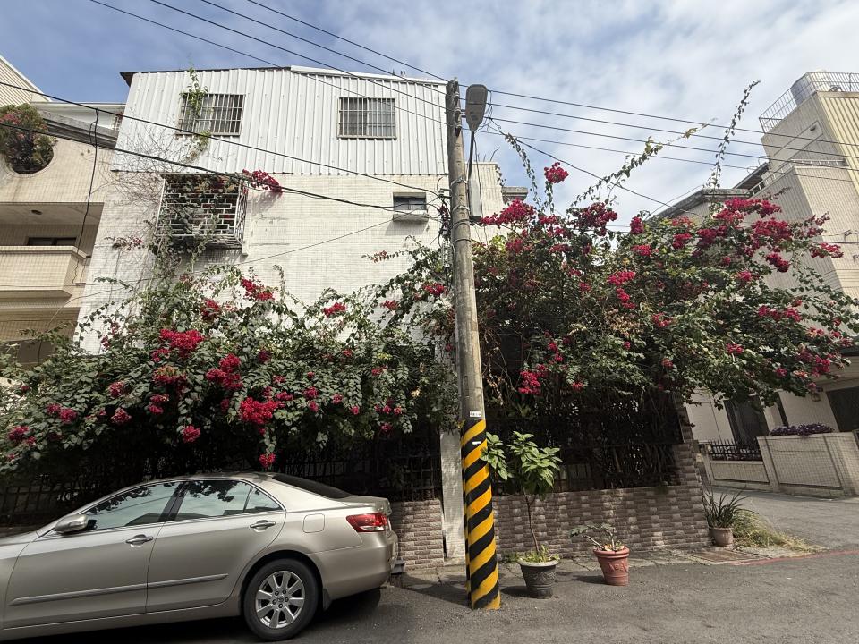 園藝維護案件圖片