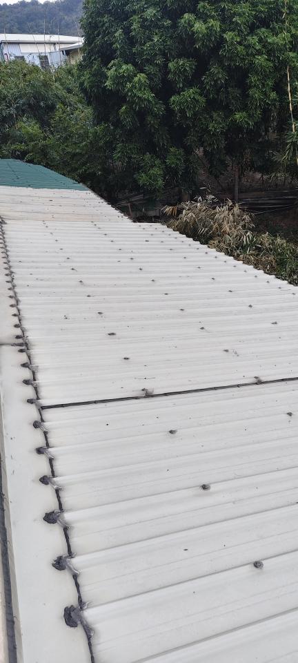 鐵皮屋頂案件圖片