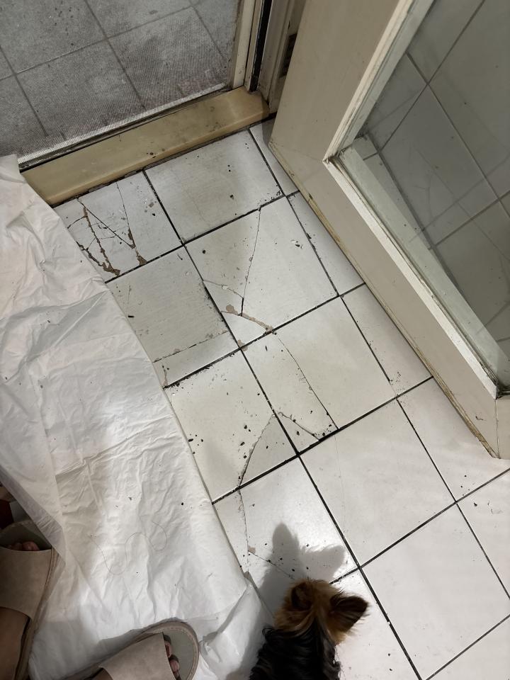 磁磚修補案件圖片