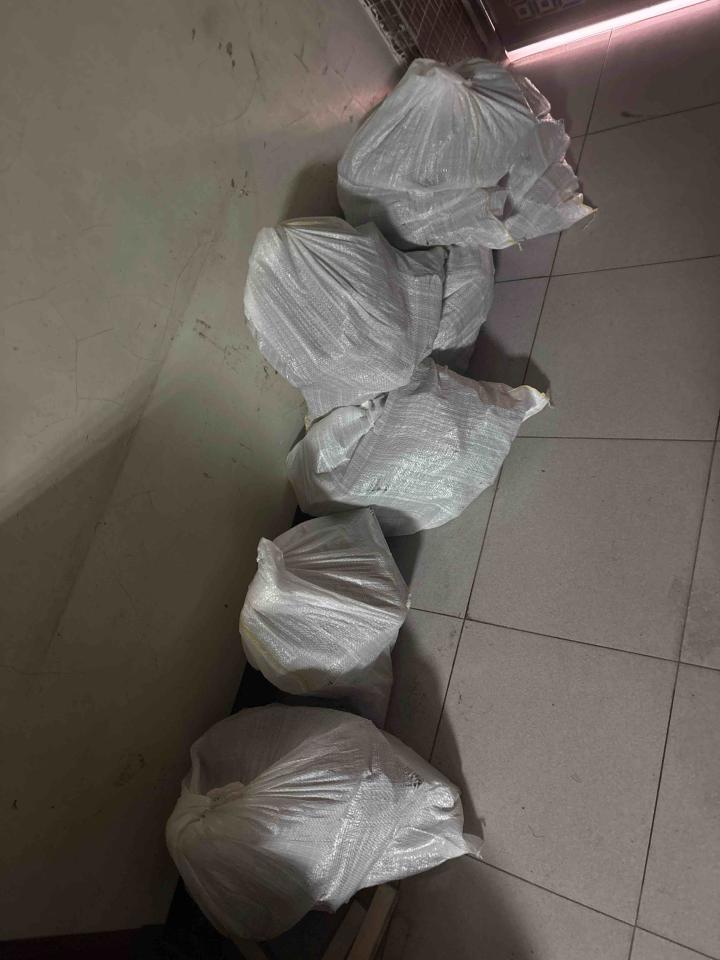 大型垃圾回收案件圖片