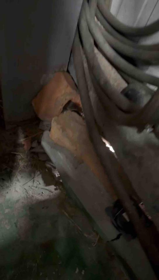 泥作/水泥施工案件圖片