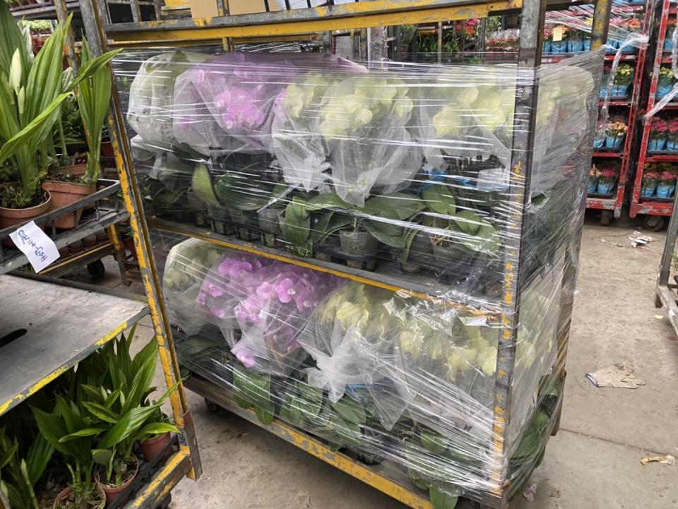 回頭車案件圖片