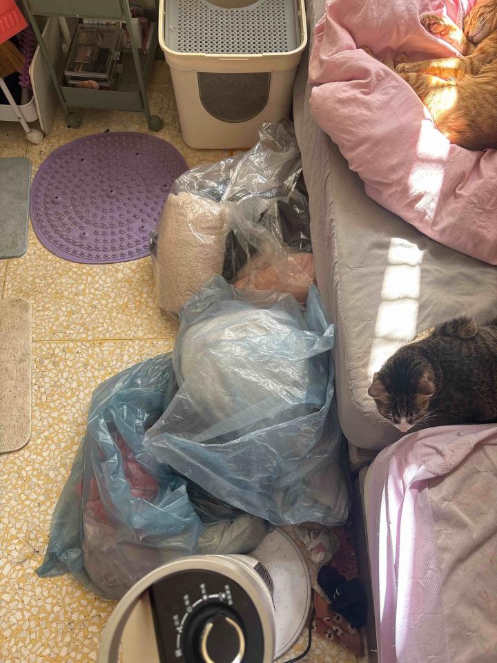 家事服務案件圖片