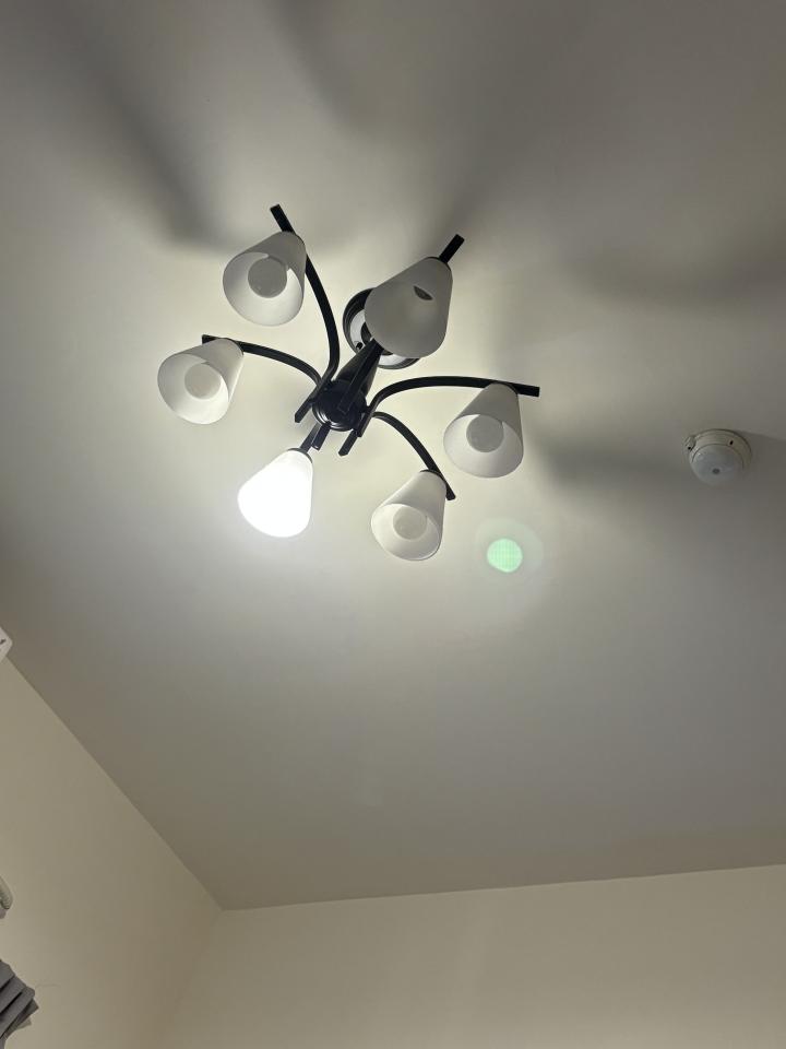 燈具安裝案件圖片