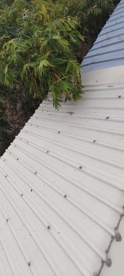 鐵皮屋頂案件圖片