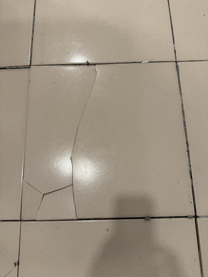 磁磚修補案件圖片