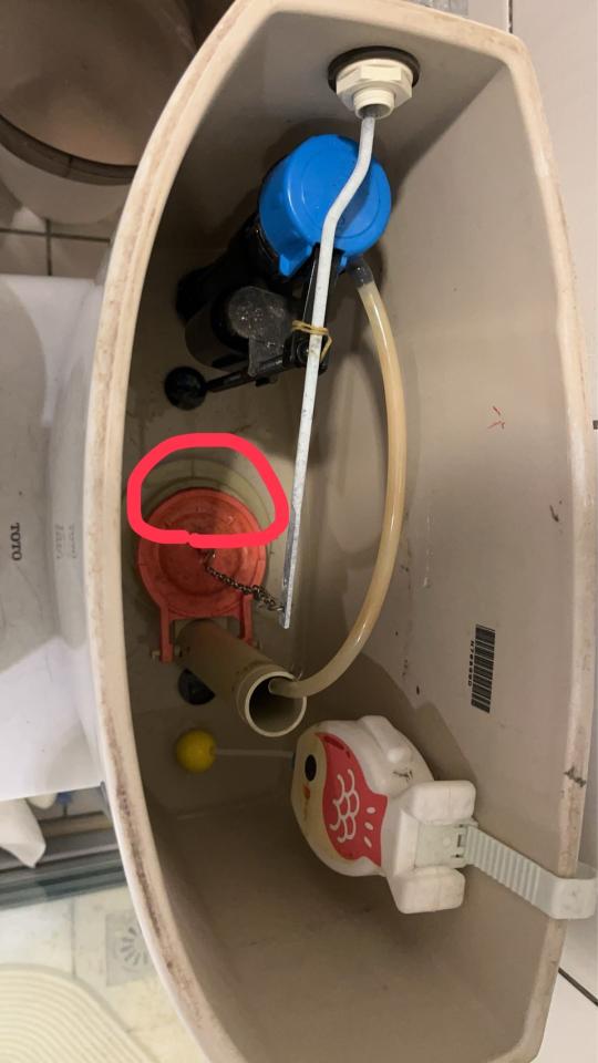 馬桶裝修案件圖片